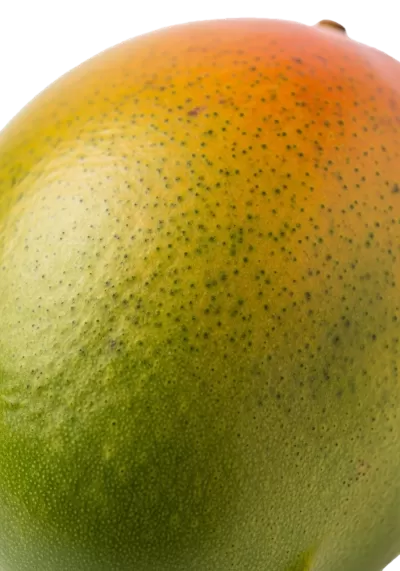 Imagen PNG para descargar